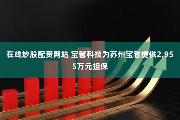 在线炒股配资网站 宝馨科技为苏州宝馨提供2,955万元担保