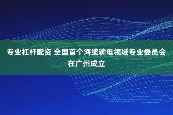 专业杠杆配资 全国首个海缆输电领域专业委员会在广州成立