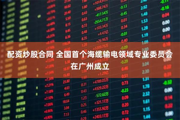 配资炒股合同 全国首个海缆输电领域专业委员会在广州成立