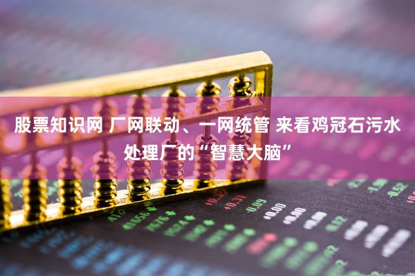 股票知识网 厂网联动、一网统管 来看鸡冠石污水处理厂的“智慧大脑”